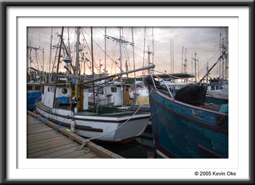 British Columbia Work Boat Association boats, Photograph from the British Columbia Work Boat Association September meeting.