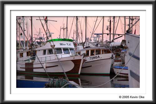 British Columbia Work Boat Association boats, Photograph from the British Columbia Work Boat Association September meeting.