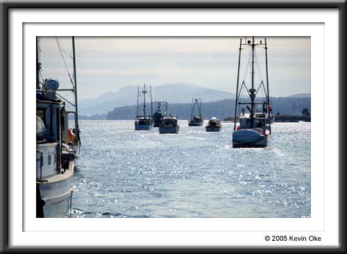 British Columbia Work Boat Association boats, Photograph from the British Columbia Work Boat Association September meeting.