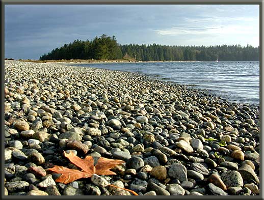 Quadra Island - Rebecca Spit