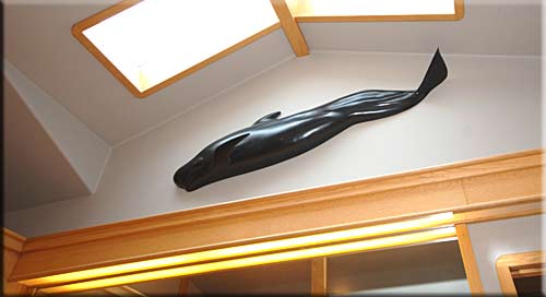 Campbell River Beach House, Campbell River accomodation, British Columbia, Canada