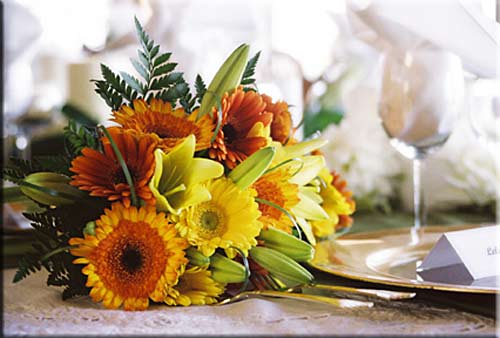 Campbell River Beach House, Campbell River oceanfront accommodation, BC, Canada