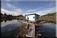 Cowichan Lake Hut