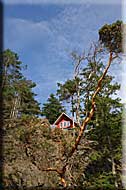 Sea Changes Cottage, Lasqueti, Vancouver Island, British Columbia