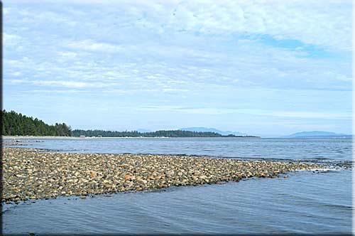 Anne�s Miracle Beach Oceanfront Suite, Comox Valley Accommodation, BC, Canada