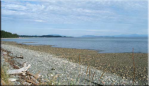 Anne�s Miracle Beach Oceanfront Suite, Comox Valley Accommodation, BC, Canada