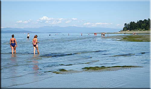 Rathtrevor Beach Waterfront Condo, Parksville waterfront accommodation, BC, Canada