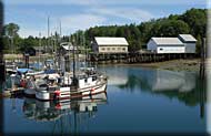 Rough Harbour