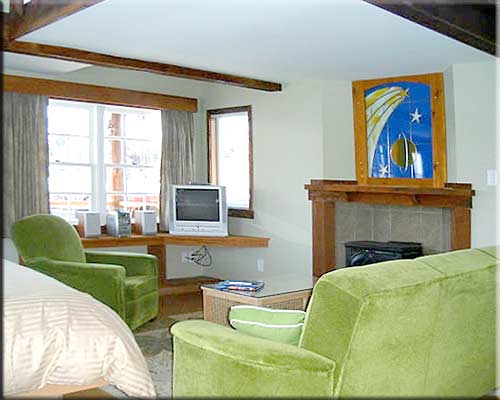 The Pink Dishrack, Victoria float home, BC, Canada