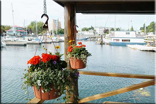 The Pink Dishrack, Victoria vacation rental, BC, Canada